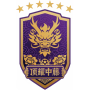Chengdu Top Shine герб