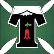 Deportes Temuco U21 герб