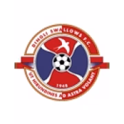 Dingli Swallows FC U19 герб