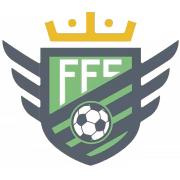 FC Falcons герб
