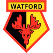 FC Watford Youth герб