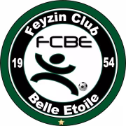 Feyzin CBE герб