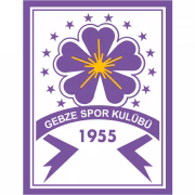 Güzide Gebze Spor Kulübü Youth герб