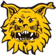 Ilves Tampere U21 герб