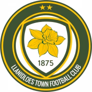 Llanidloes Town герб