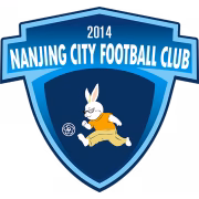 Nanjing City Reserves герб