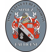 Somuz Falticeni герб