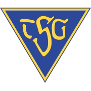 TSG Dülmen герб