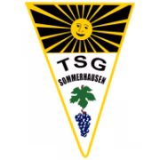 TSG Sommerhausen герб